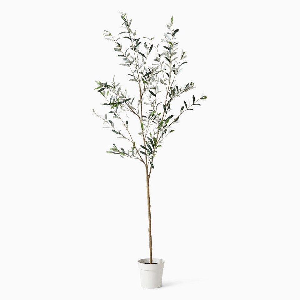 Faux Potted Black Olive Tree West Elm UK